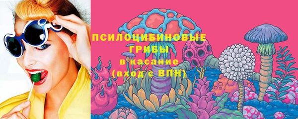 эйфоретик Сосновка