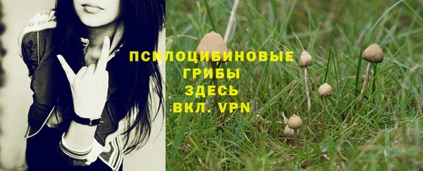 трава Арсеньев