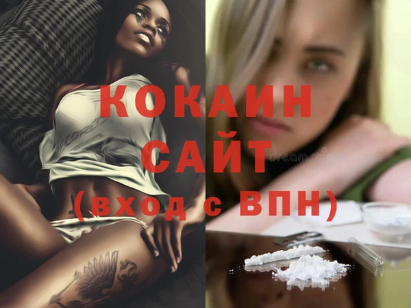 сатива Аркадак