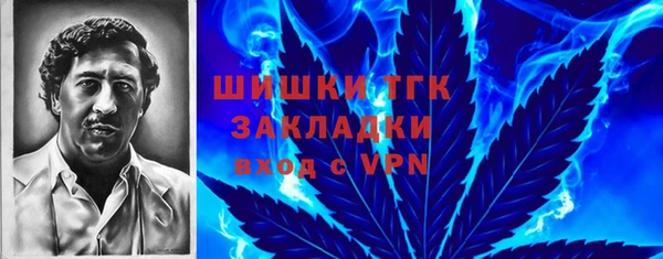 сатива Аркадак