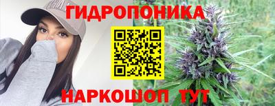 спайс Моздок