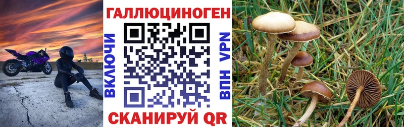 Галлюциногенные грибы Psilocybe  хочу наркоту  Нововоронеж 