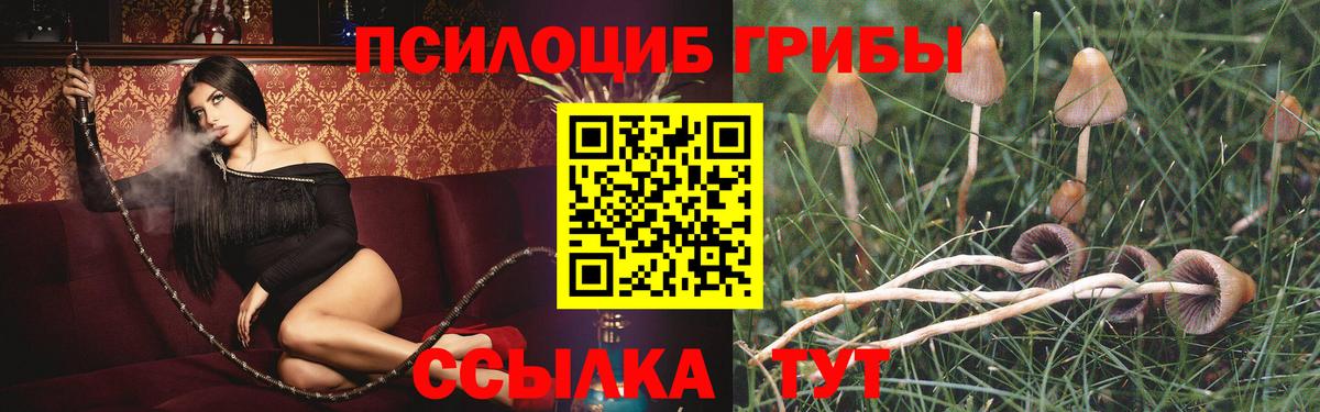 Галлюциногенные грибы MAGIC MUSHROOMS Нововоронеж