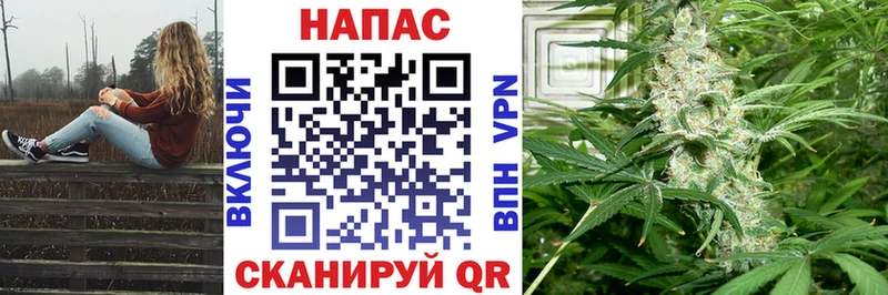 Шишки марихуана марихуана  Нововоронеж 